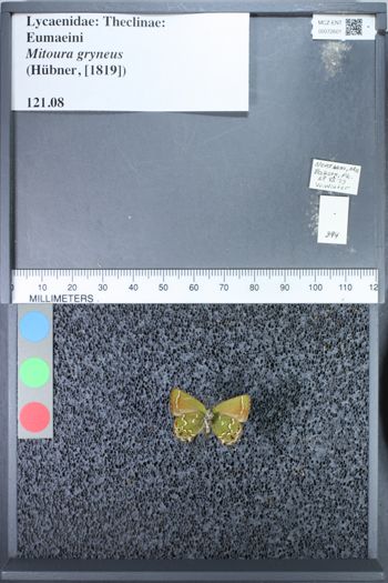 Media type: image;   Entomology 72601